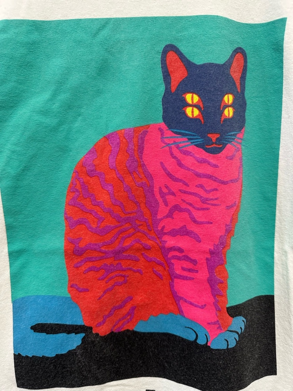 Neff Vibrant Pink & Teal Four-Eyed Cat Graphic Tee